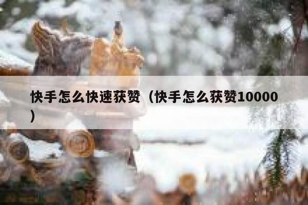 快手怎么快速获赞(快手怎么获赞10000) 第1张 快手怎么快速获赞(快手怎么获赞10000) 第1张