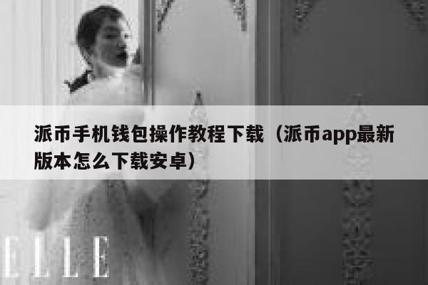 派币手机钱包操作教程下载（派币app最新版本怎么下载安卓） 第1张