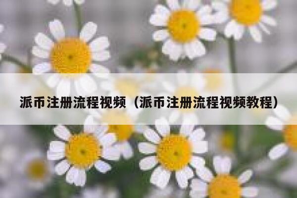 派币注册流程视频(派币注册流程视频教程) 第1张 派币注册流程视频(派币注册流程视频教程) 第1张