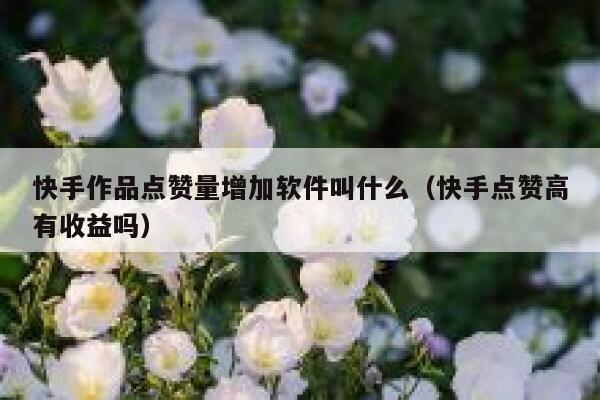 快手作品点赞量增加软件叫什么(快手点赞高有收益吗) 第1张 快手作品点赞量增加软件叫什么(快手点赞高有收益吗) 第1张