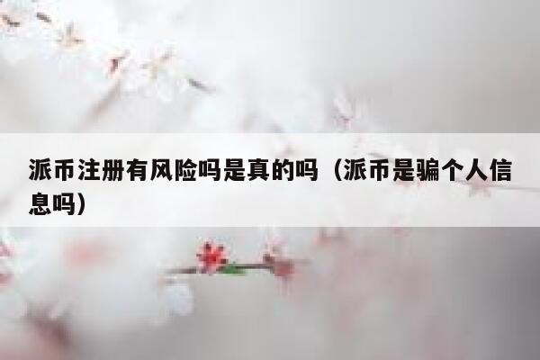 派币注册有风险吗是真的吗(派币是骗个人信息吗) 第1张 派币注册有风险吗是真的吗(派币是骗个人信息吗) 第1张