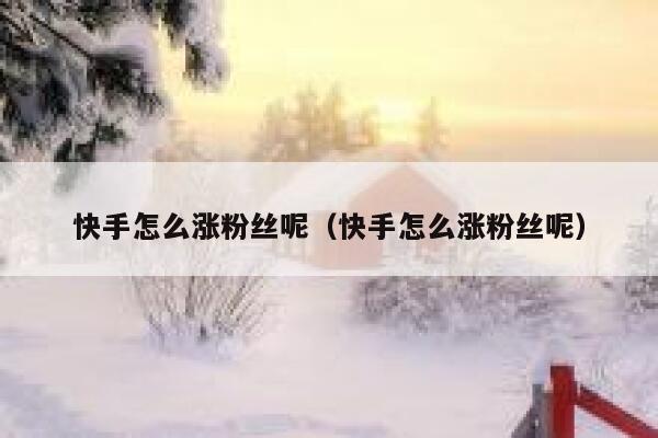快手怎么涨粉丝呢（快手怎么涨粉丝呢） 第1张