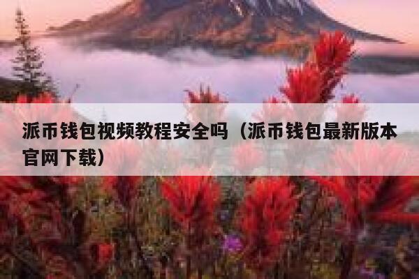 派币钱包视频教程安全吗(派币钱包最新版本官网下载) 第1张 派币钱包视频教程安全吗(派币钱包最新版本官网下载) 第1张