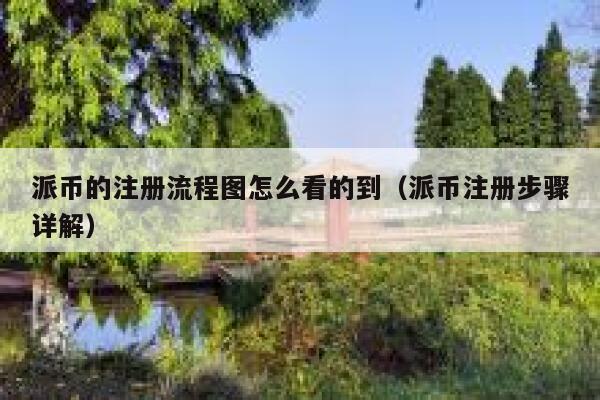 派币的注册流程图怎么看的到(派币注册步骤详解) 第1张 派币的注册流程图怎么看的到(派币注册步骤详解) 第1张