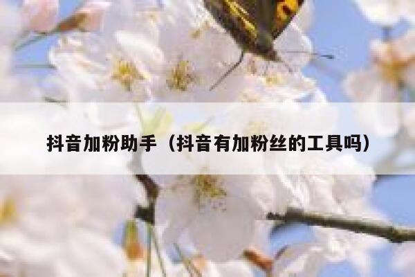 抖音加粉助手(抖音有加粉丝的工具吗) 第1张 抖音加粉助手(抖音有加粉丝的工具吗) 第1张