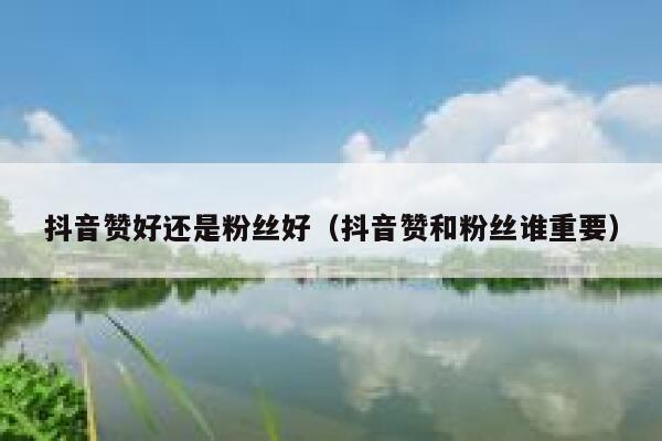 抖音赞好还是粉丝好(抖音赞和粉丝谁重要) 第1张 抖音赞好还是粉丝好(抖音赞和粉丝谁重要) 第1张