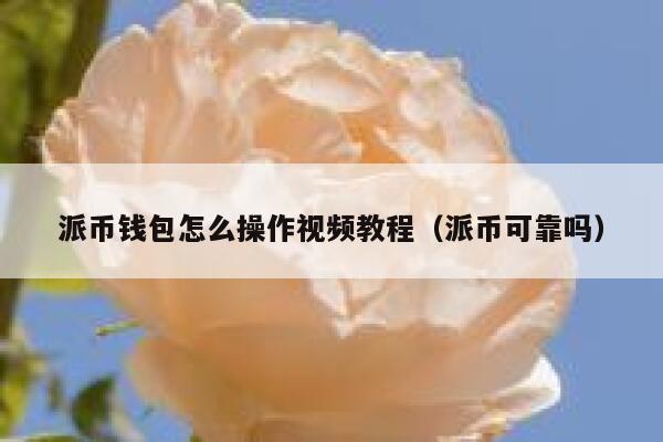 派币钱包怎么操作视频教程（派币可靠吗） 第1张