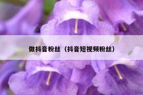 做抖音粉丝（抖音短视频粉丝） 第1张