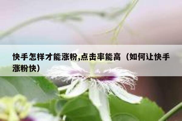 快手怎样才能涨粉,点击率能高（如何让快手涨粉快） 第1张