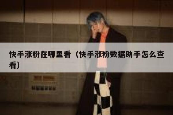 快手涨粉在哪里看(快手涨粉数据助手怎么查看) 第1张 快手涨粉在哪里看(快手涨粉数据助手怎么查看) 第1张