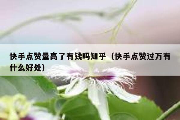 快手点赞量高了有钱吗知乎（快手点赞过万有什么好处） 第1张