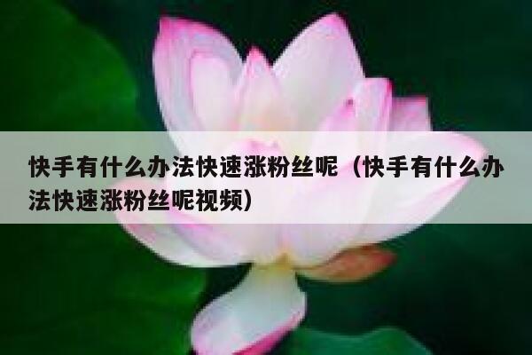 快手有什么办法快速涨粉丝呢（快手有什么办法快速涨粉丝呢视频） 第1张