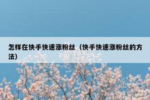 怎样在快手快速涨粉丝（快手快速涨粉丝的方法） 第1张
