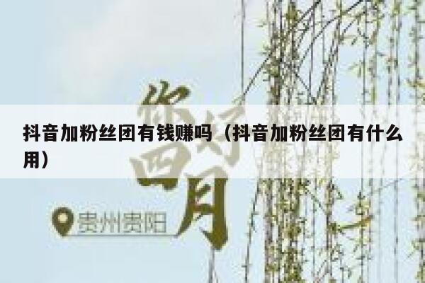 抖音加粉丝团有钱赚吗(抖音加粉丝团有什么用) 第1张 抖音加粉丝团有钱赚吗(抖音加粉丝团有什么用) 第1张