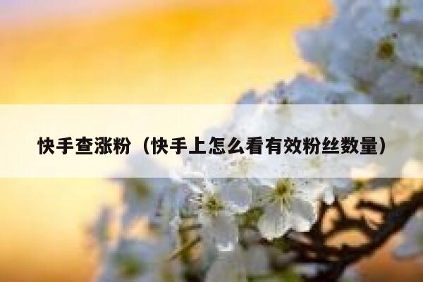 快手查涨粉(快手上怎么看有效粉丝数量) 第1张 快手查涨粉(快手上怎么看有效粉丝数量) 第1张