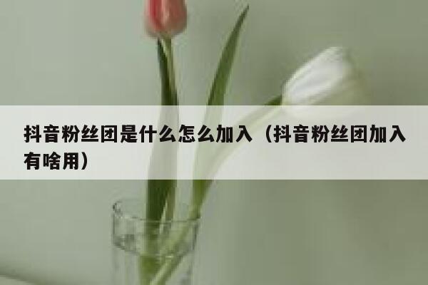 抖音粉丝团是什么怎么加入(抖音粉丝团加入有啥用) 第1张 抖音粉丝团是什么怎么加入(抖音粉丝团加入有啥用) 第1张