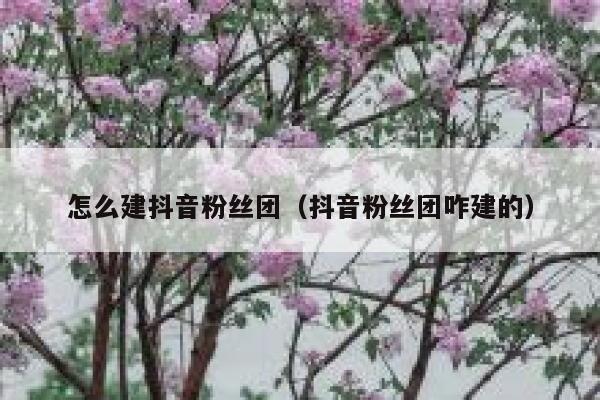 怎么建抖音粉丝团(抖音粉丝团咋建的) 第1张 怎么建抖音粉丝团(抖音粉丝团咋建的) 第1张