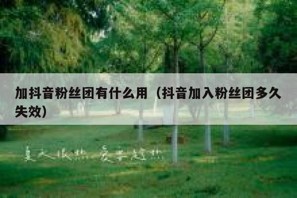 加抖音粉丝团有什么用(抖音加入粉丝团多久失效) 第1张 加抖音粉丝团有什么用(抖音加入粉丝团多久失效) 第1张
