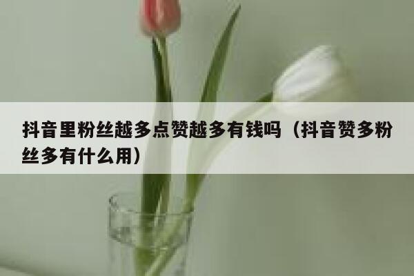 抖音里粉丝越多点赞越多有钱吗(抖音赞多粉丝多有什么用) 第1张 抖音里粉丝越多点赞越多有钱吗(抖音赞多粉丝多有什么用) 第1张