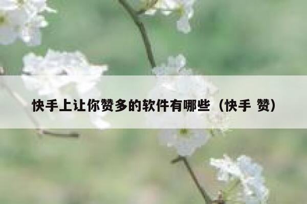 快手上让你赞多的软件有哪些（快手 赞） 第1张