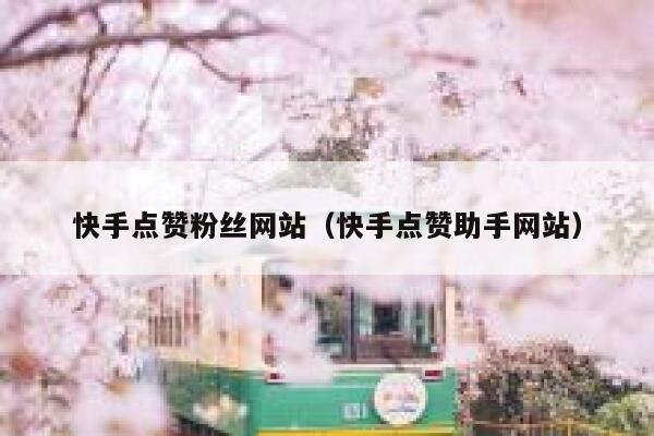 快手点赞粉丝网站（快手点赞助手网站） 第1张