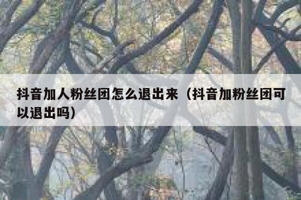 抖音加人粉丝团怎么退出来（抖音加粉丝团可以退出吗） 第1张
