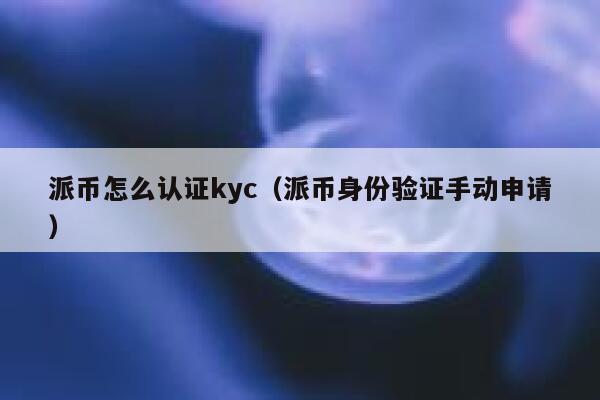 派币怎么认证kyc（派币身份验证手动申请） 第1张