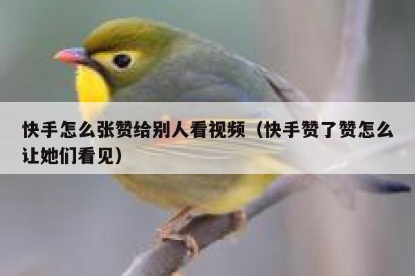 快手怎么张赞给别人看视频(快手赞了赞怎么让她们看见) 第1张 快手怎么张赞给别人看视频(快手赞了赞怎么让她们看见) 第1张