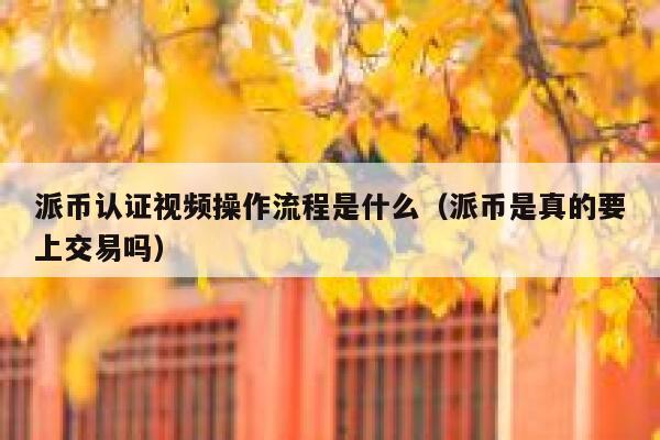派币认证视频操作流程是什么（派币是真的要上交易吗） 第1张