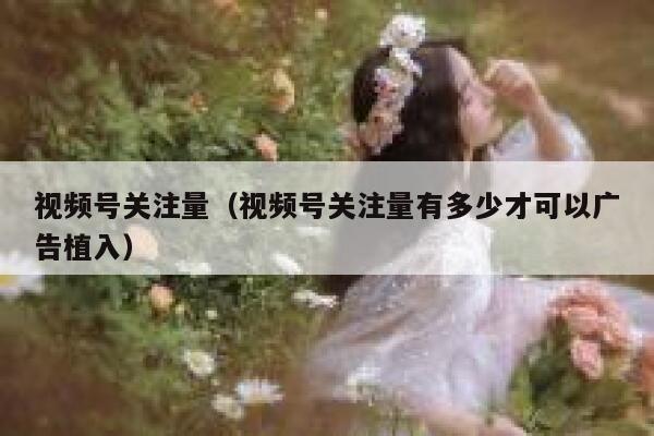 视频号关注量（视频号关注量有多少才可以广告植入） 第1张