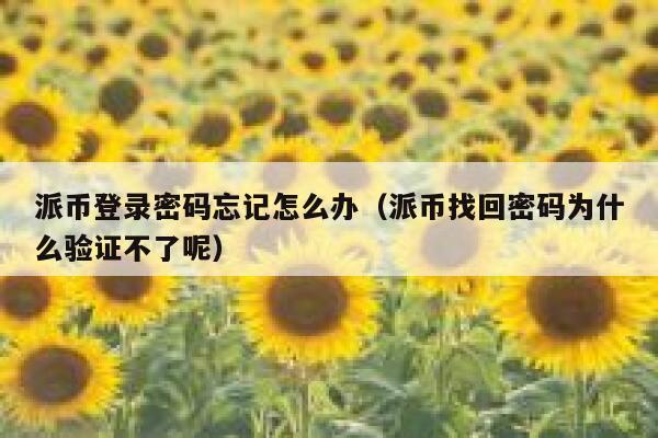 派币登录密码忘记怎么办(派币找回密码为什么验证不了呢) 第1张 派币登录密码忘记怎么办(派币找回密码为什么验证不了呢) 第1张