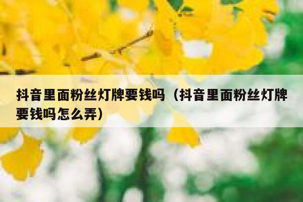 抖音里面粉丝灯牌要钱吗(抖音里面粉丝灯牌要钱吗怎么弄) 第1张 抖音里面粉丝灯牌要钱吗(抖音里面粉丝灯牌要钱吗怎么弄) 第1张