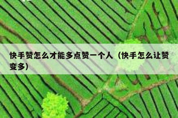 快手赞怎么才能多点赞一个人(快手怎么让赞变多) 第1张 快手赞怎么才能多点赞一个人(快手怎么让赞变多) 第1张