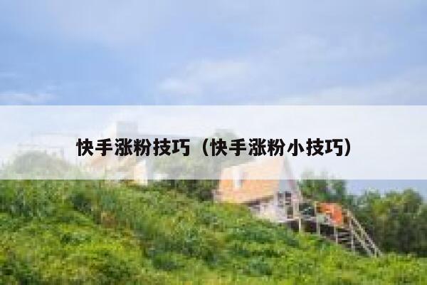 快手涨粉技巧（快手涨粉小技巧） 第1张