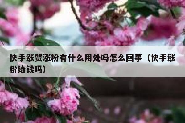 快手涨赞涨粉有什么用处吗怎么回事(快手涨粉给钱吗) 第1张 快手涨赞涨粉有什么用处吗怎么回事(快手涨粉给钱吗) 第1张