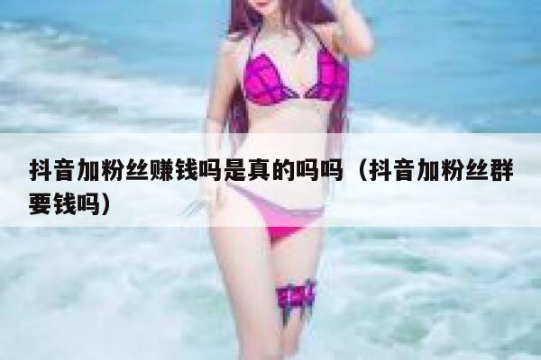抖音加粉丝赚钱吗是真的吗吗（抖音加粉丝群要钱吗） 第1张