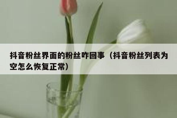 抖音粉丝界面的粉丝咋回事（抖音粉丝列表为空怎么恢复正常） 第1张