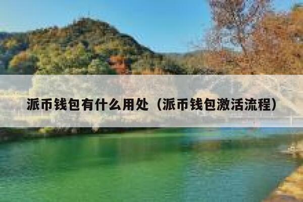 派币钱包有什么用处(派币钱包激活流程) 第1张 派币钱包有什么用处(派币钱包激活流程) 第1张