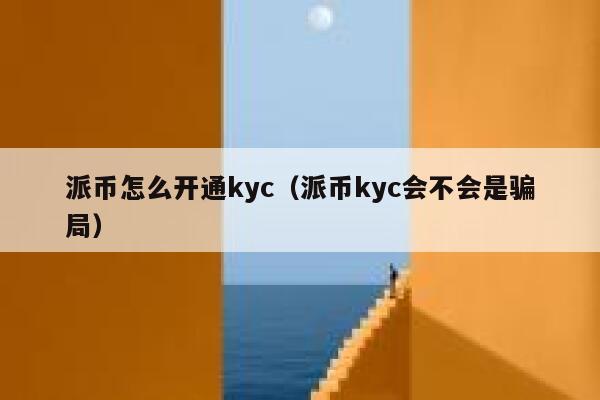 派币怎么开通kyc（派币kyc会不会是骗局） 第1张
