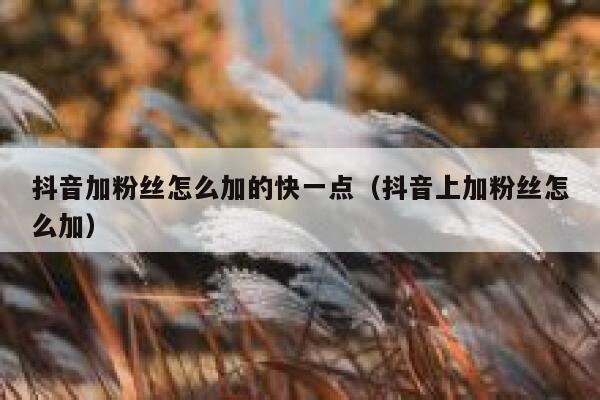 抖音加粉丝怎么加的快一点（抖音上加粉丝怎么加） 第1张