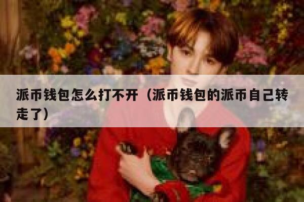 派币钱包怎么打不开(派币钱包的派币自己转走了) 第1张 派币钱包怎么打不开(派币钱包的派币自己转走了) 第1张