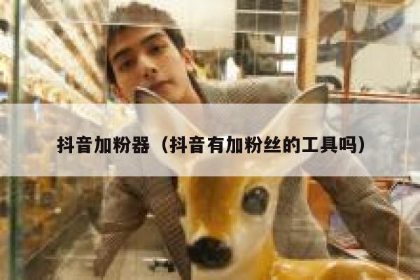 抖音加粉器（抖音有加粉丝的工具吗） 第1张