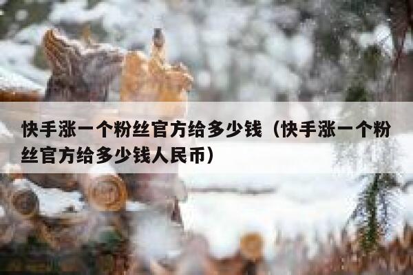 快手涨一个粉丝官方给多少钱(快手涨一个粉丝官方给多少钱人民币) 第1张 快手涨一个粉丝官方给多少钱(快手涨一个粉丝官方给多少钱人民币) 第1张