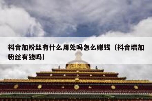 抖音加粉丝有什么用处吗怎么赚钱（抖音增加粉丝有钱吗） 第1张