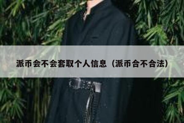 派币会不会套取个人信息(派币合不合法) 第1张 派币会不会套取个人信息(派币合不合法) 第1张