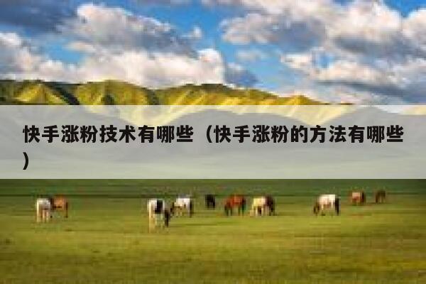 快手涨粉技术有哪些(快手涨粉的方法有哪些) 第1张 快手涨粉技术有哪些(快手涨粉的方法有哪些) 第1张