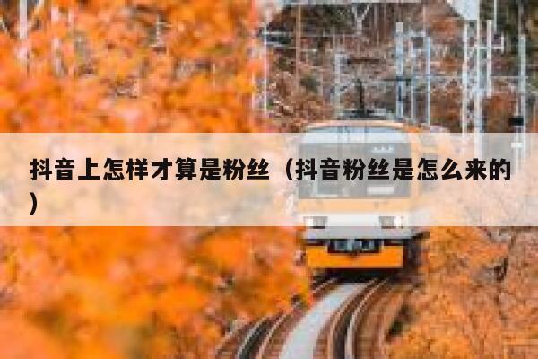 抖音上怎样才算是粉丝(抖音粉丝是怎么来的) 第1张 抖音上怎样才算是粉丝(抖音粉丝是怎么来的) 第1张