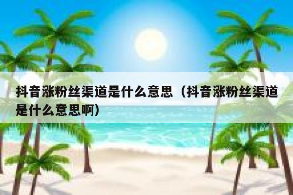 抖音涨粉丝渠道是什么意思(抖音涨粉丝渠道是什么意思啊) 第1张 抖音涨粉丝渠道是什么意思(抖音涨粉丝渠道是什么意思啊) 第1张