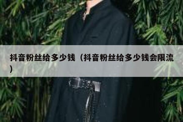 抖音粉丝给多少钱(抖音粉丝给多少钱会限流) 第1张 抖音粉丝给多少钱(抖音粉丝给多少钱会限流) 第1张