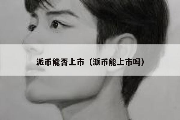 派币能否上市（派币能上市吗） 第1张